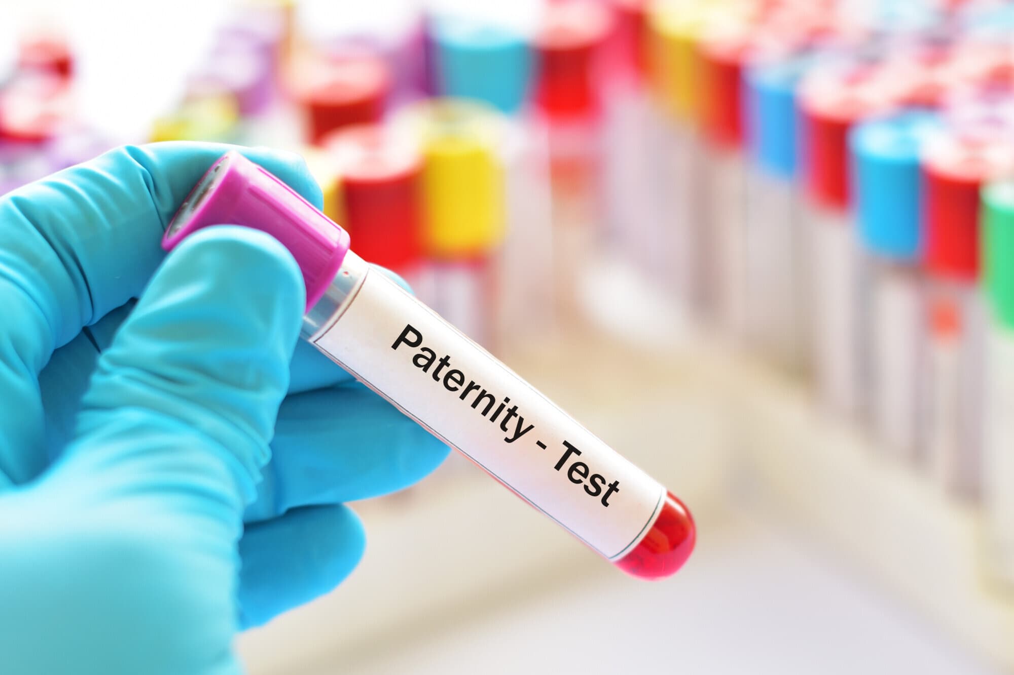 home paternity test
